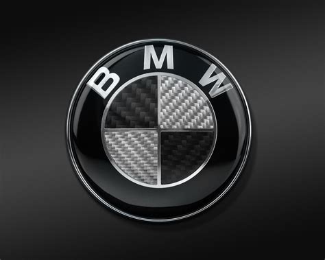 bmw logo image.